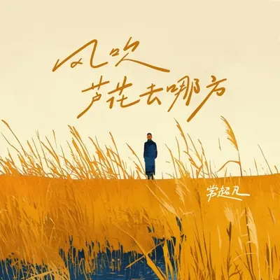 风吹芦花去哪方 - 常超凡封面