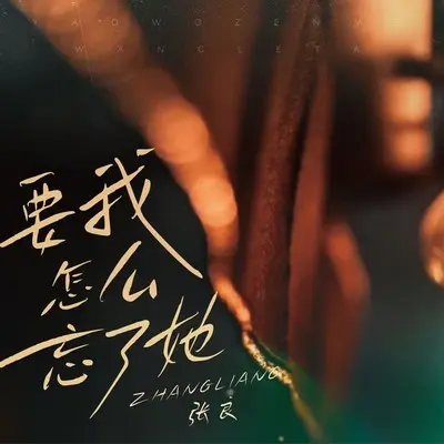 要我怎么忘了她封面