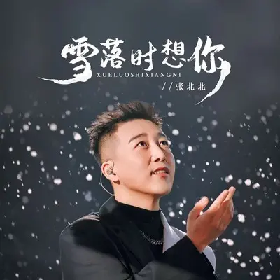 雪落时想你封面