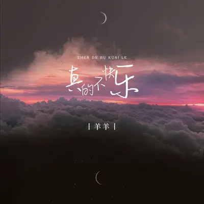 真的不快乐（伴奏）封面
