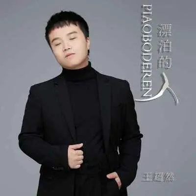 漂泊的人(DJ默涵版)封面