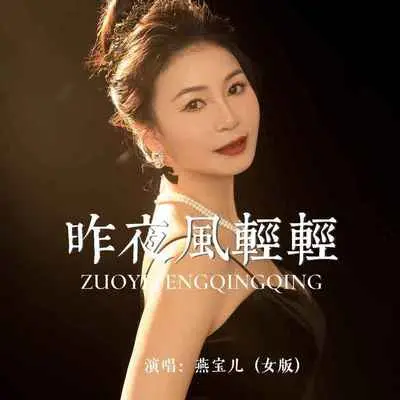 昨夜风轻轻(DJ默涵女版)封面