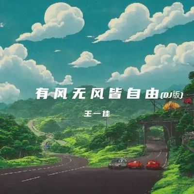 有风无风皆自由(DJ越南鼓) - 王一佳封面