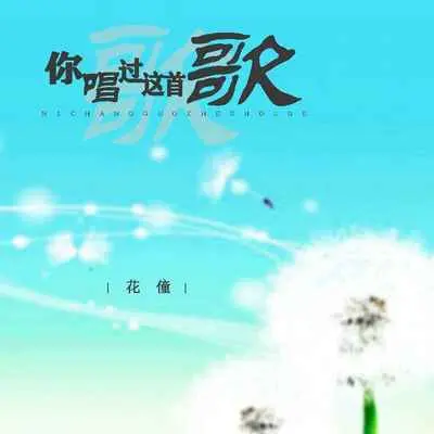 你唱过这首歌(伴奏) - 花僮封面
