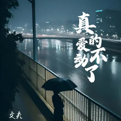 真的爱不动了封面