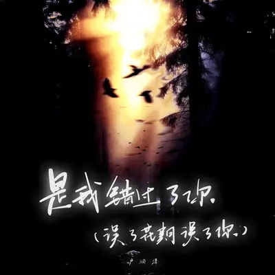 是我错过了你 (误了花期误了你)封面