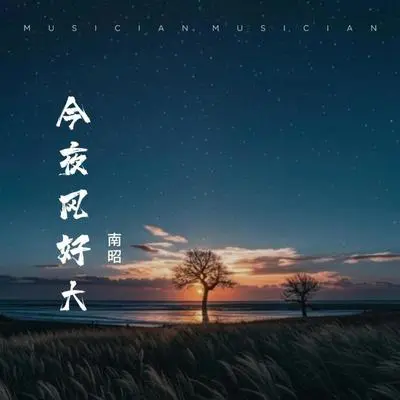 今夜风好大封面