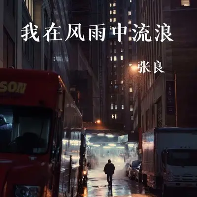 我在风雨中流浪封面