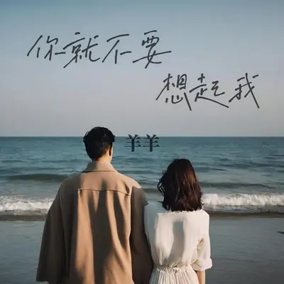 你就不要想起我封面