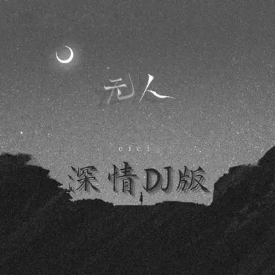 无人（深情DJ版）封面