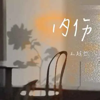 内伤封面