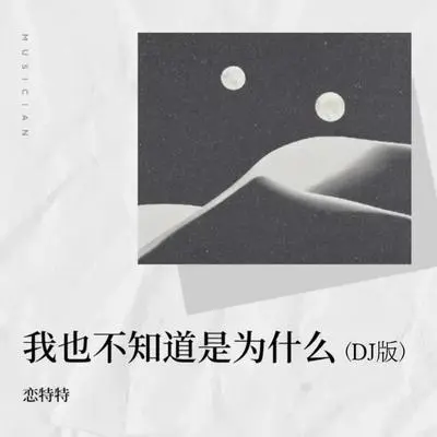 我也不知道是为什么（DJ版）封面