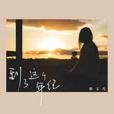 到了这个年纪（DJheap九天版）封面