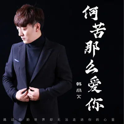 何苦那么爱你（0.8降速版）封面