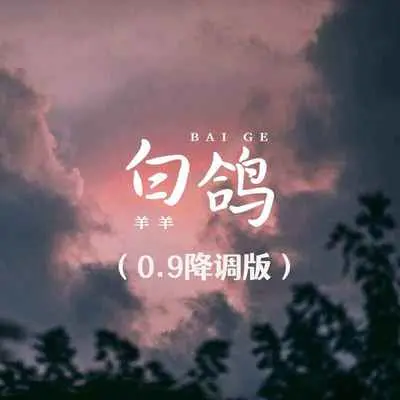 白鸽（0.9降调版）封面
