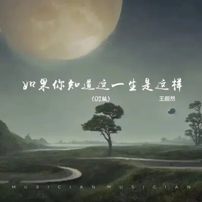 如果你知道这一生是这样(DJ版) - 王超然封面