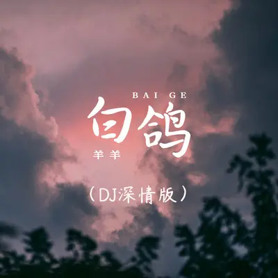 白鸽（DJ深情版）封面