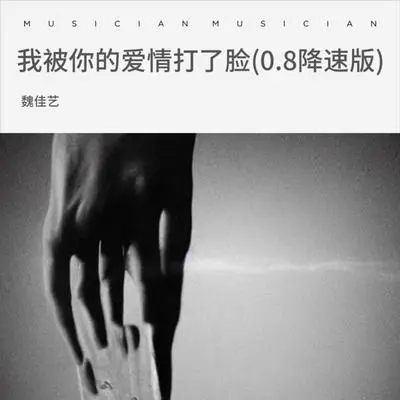 我被你的爱情打了脸（0.8降速版） - 魏佳艺封面