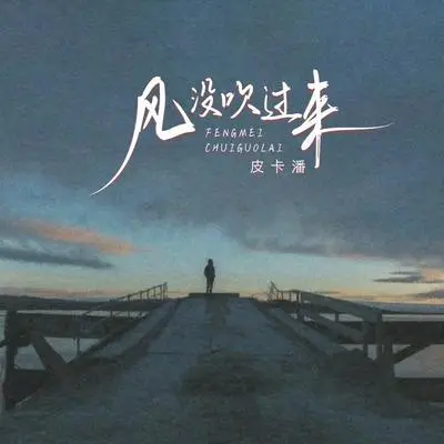 风没吹过来封面
