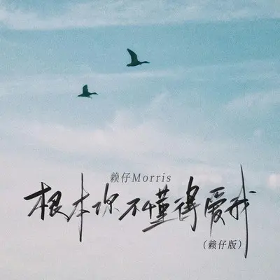 根本你不懂得爱我（赖仔版）封面