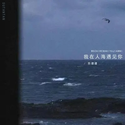 我在人海遇见你（烟嗓女版）封面