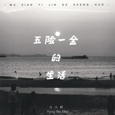 五险一金的生活 - 方大树封面