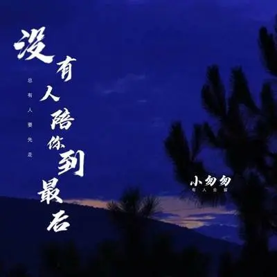 没有人陪你到最后(伴奏)封面