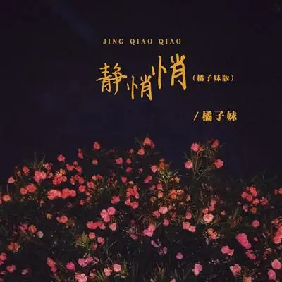 静悄悄（橘子妹版）封面