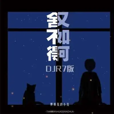 舍不得又如何（DJR7版）封面