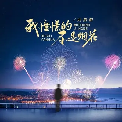 我憧憬的不是烟花（伴奏）封面