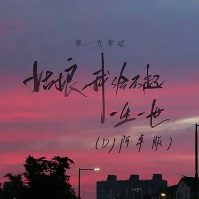 姑娘，我给不起一 生一世（DJ阿卓版）封面