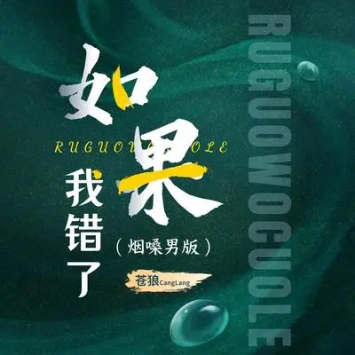 如果我错了（烟嗓男版伴奏）封面