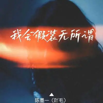 我会假装无所谓封面