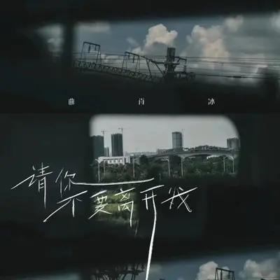 请你不要离开我（完整版）封面