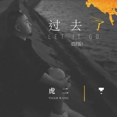 过去了(DJ版) - 虎二封面