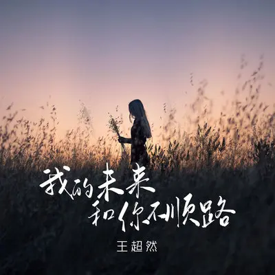 我的未来和你不顺路(烟嗓版伴奏)封面