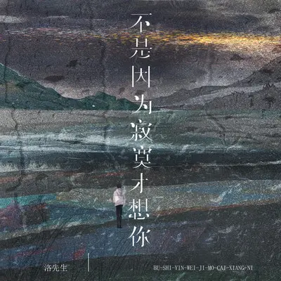 不是因为寂寞才想你(翻唱版伴奏) - 洛先生封面