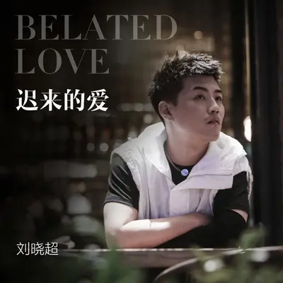 迟来的爱封面