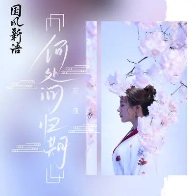 何处问归期(DJ余小磊版) - 花僮封面