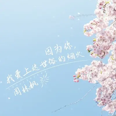因为你，我爱上这世俗的烟火封面