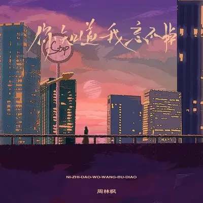 你知道，我忘不掉（DJ Eva版）封面