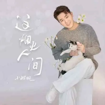 这烟火人间 (DJ亚明版)封面