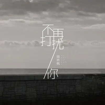 不再打扰你 - 周林枫封面