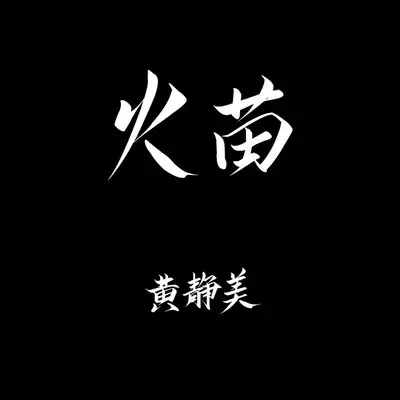 火苗（抖音版）封面
