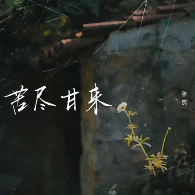苦尽甘来 (DJ豪大大版) - 张良封面