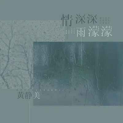 情深深雨濛濛 (DJ沈念 Remix)封面