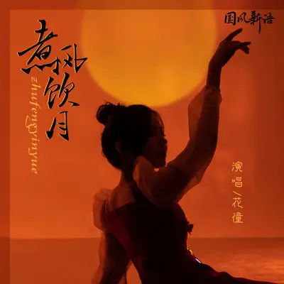 煮风饮月(DJ小帽版伴奏)封面