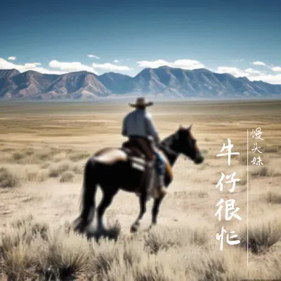 牛仔很忙封面