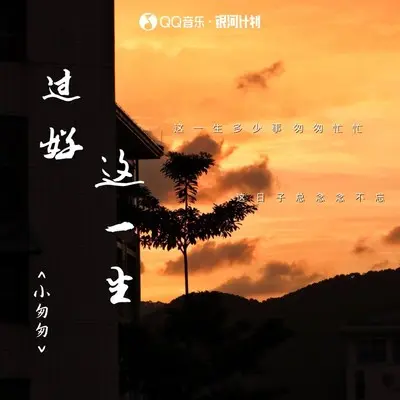 过好这一生（完整版）封面
