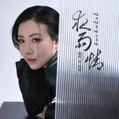 夜雨情(DJ小帽版)封面
